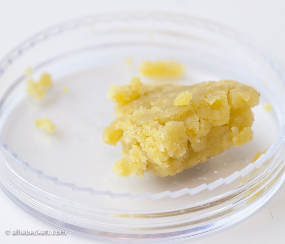 Oil_Malawai_Cheese0189