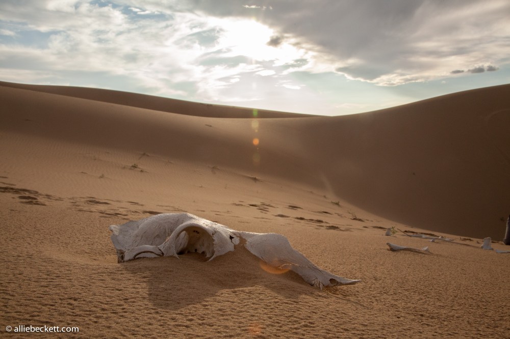 072812_gobi_sand_dunes_9019