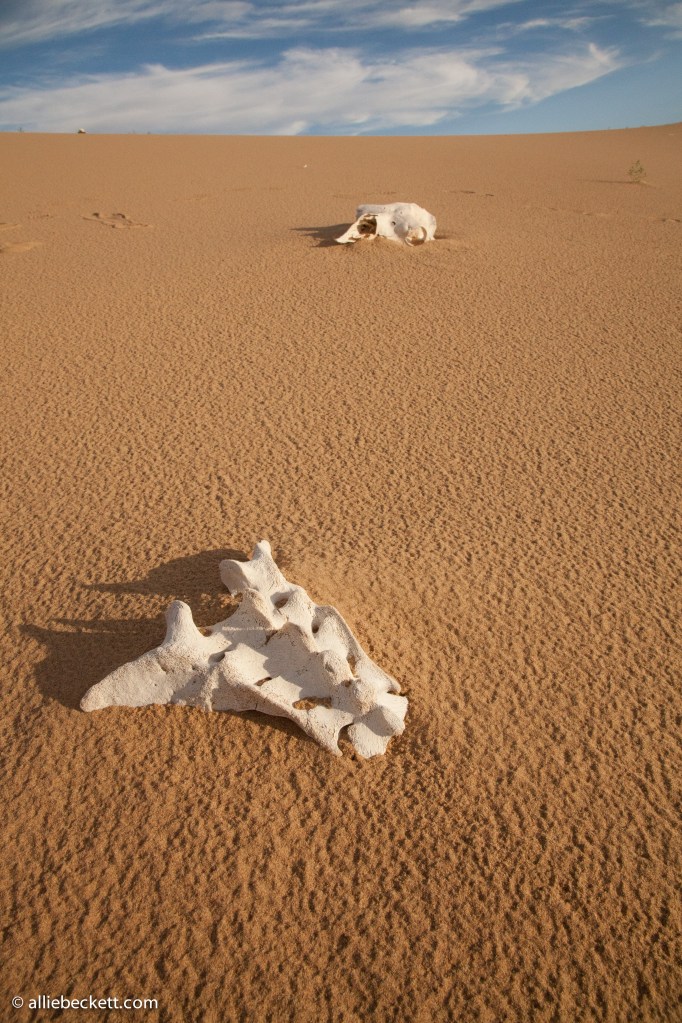 072812_gobi_sand_dunes_9038
