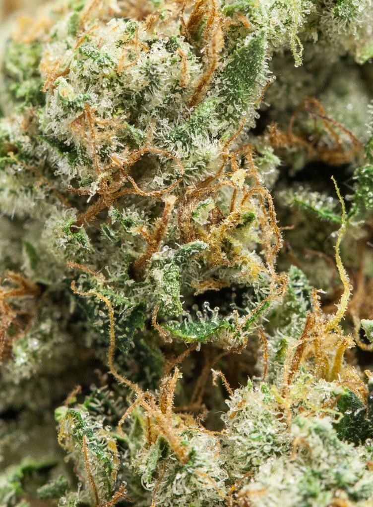 true_og-2287