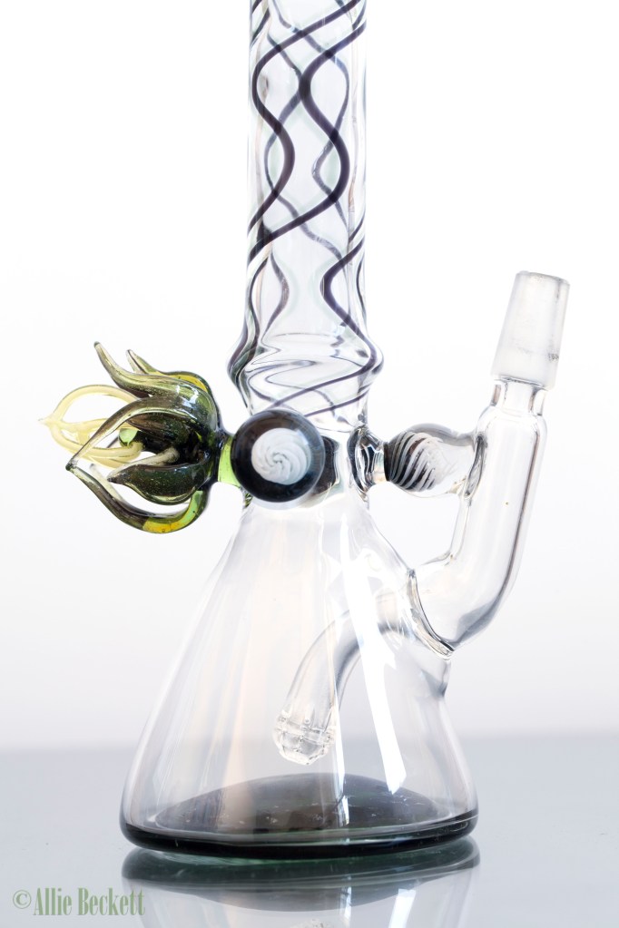 140602_ebzglass_9288